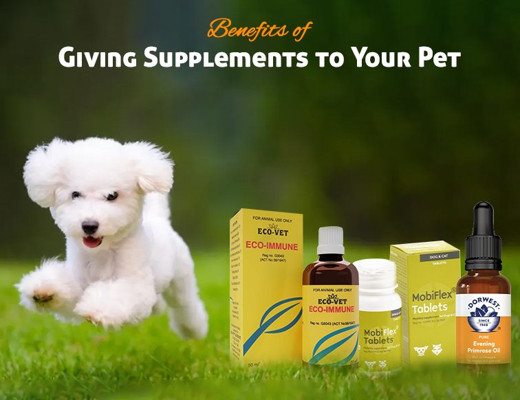 Supplements for pet optimal health