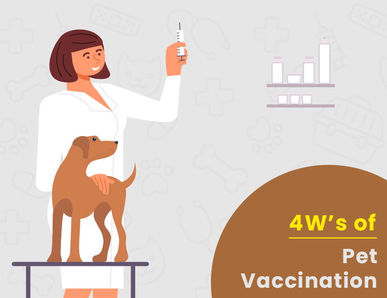Vaccination For Pets